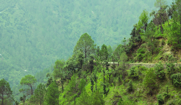 Valley View
